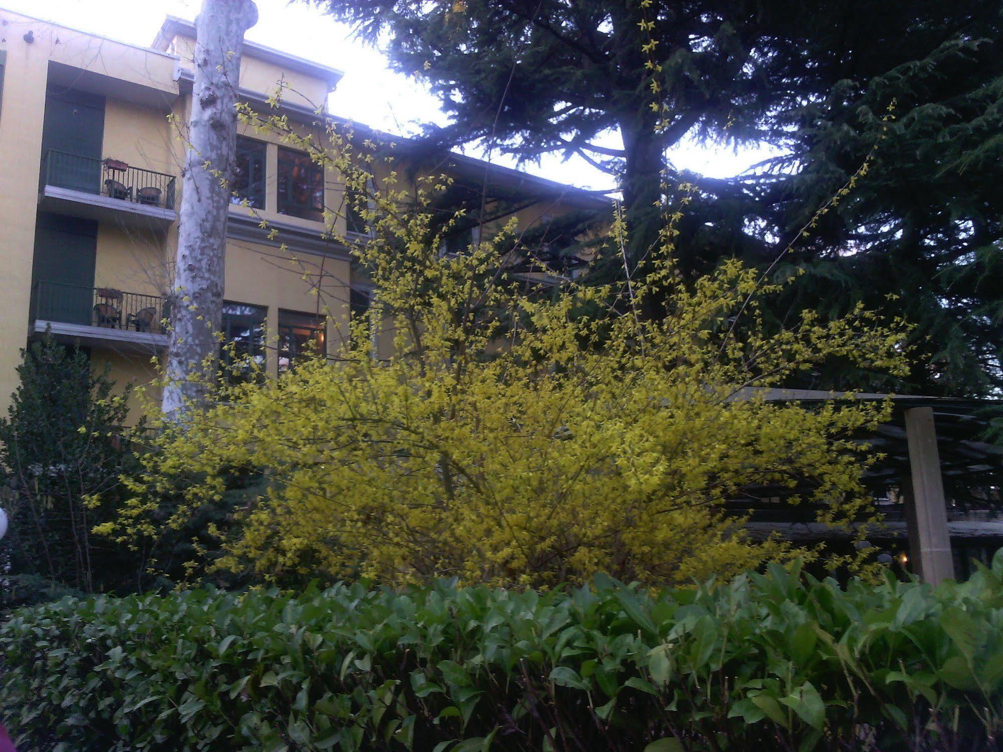 Hotel Salus Salice Terme Bagian luar foto